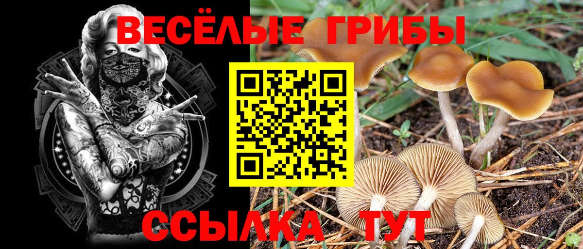 Галлюциногенные грибы мухоморы Кизилюрт