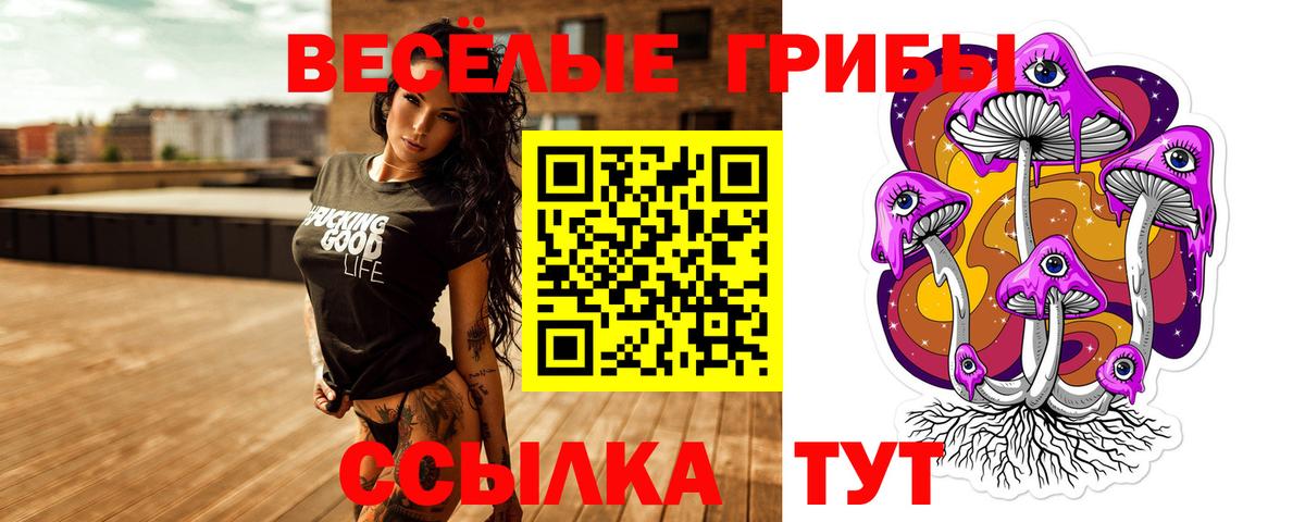 Кизилюрт  Галлюциногенные грибы прущие грибы  Вход с VPN 